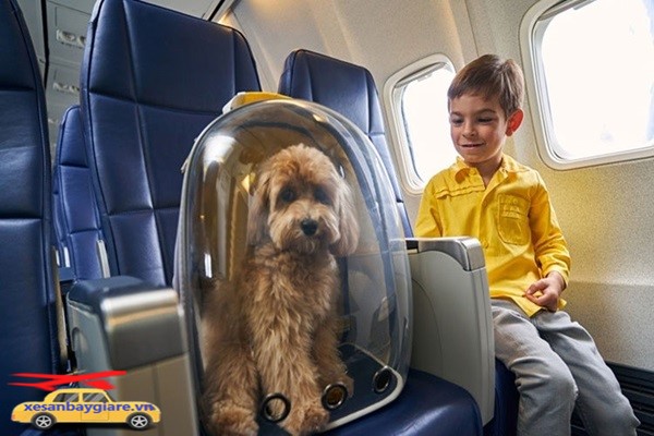 gọi xe taxi sân bay nội bài giá rẻ đón nhanh